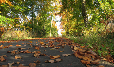 laub-strasse