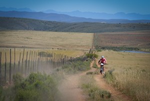 2013 Bridge Cape Pioneer Trek Stage 4-3386