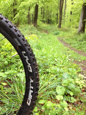 dirty radblogs