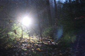 licht trail