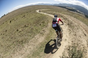 Absa Cape Epic 2014 Stage 6 Elgin