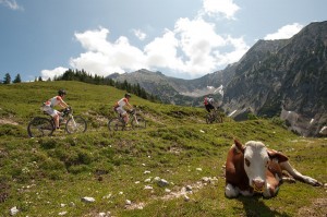 Craft BIKE Transalp powered by Sigma Course