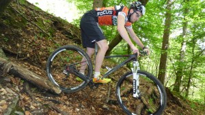 Spitzkehre_Wald