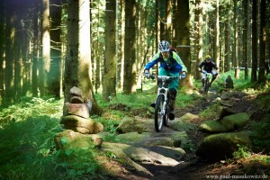 Steinfelder und Wurzelpassagen prägen die Trails Im Erzgebirge