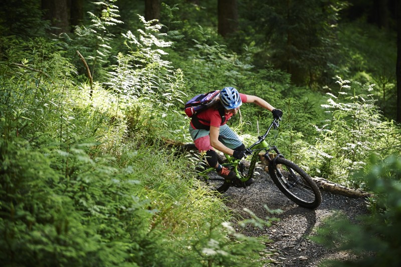 Trailground 3