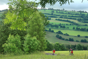 Mountainbiken im Erzgebirge_Foto_Tourismusverband Erzgebirge
